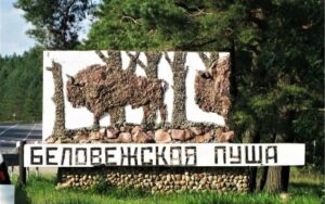 Национальный парк «Беловежская пуща»