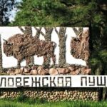 Беловежская пуща